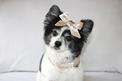 XOXO bow