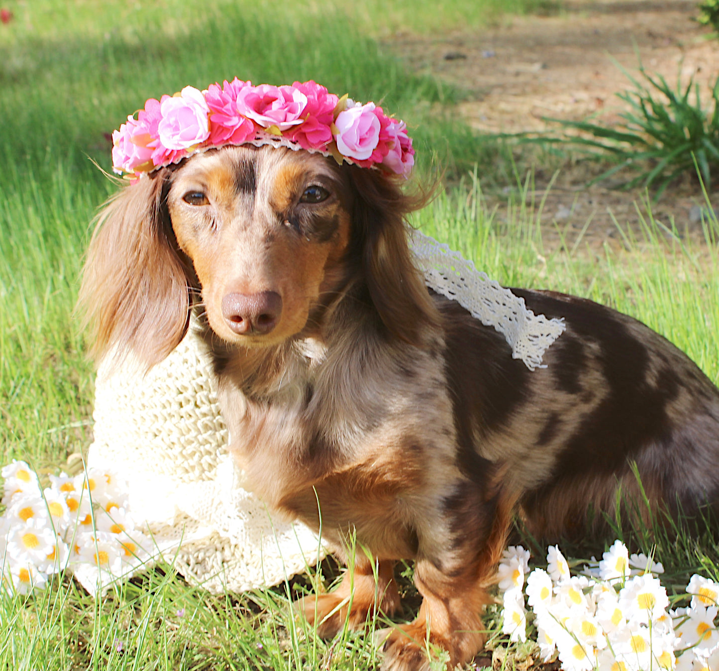 Wild child flower crown