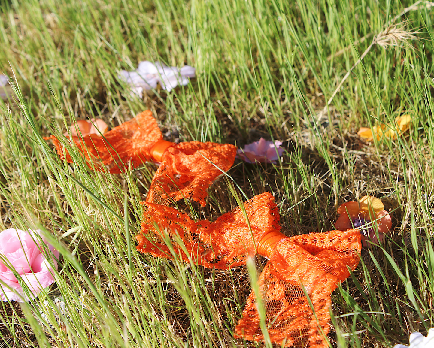 Wild child lace bow