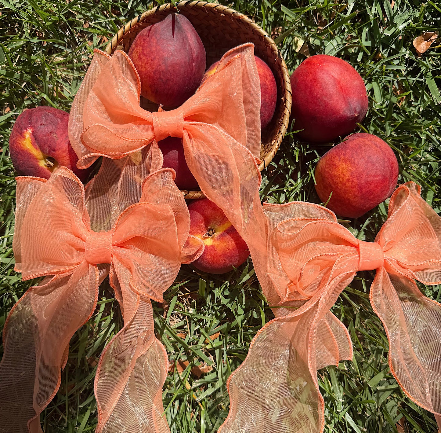 Peach darling big bow