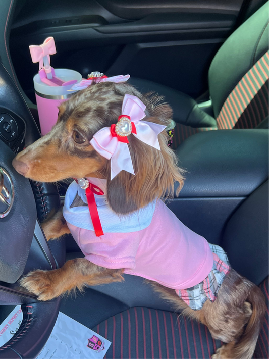 The “Trend Setter” twin bows