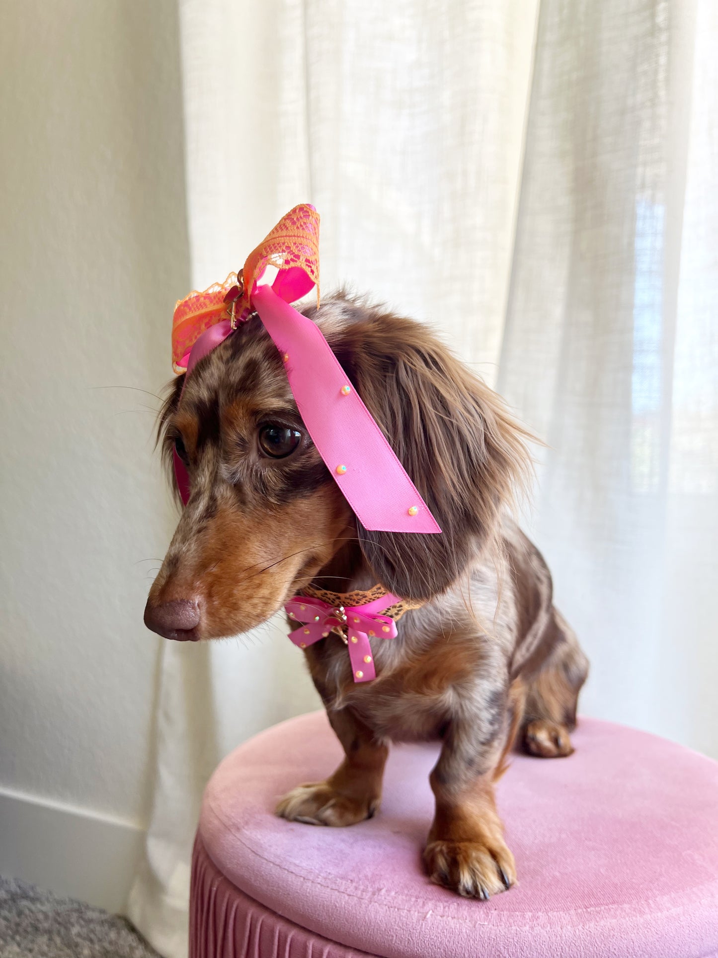 The tropic flamingo bow