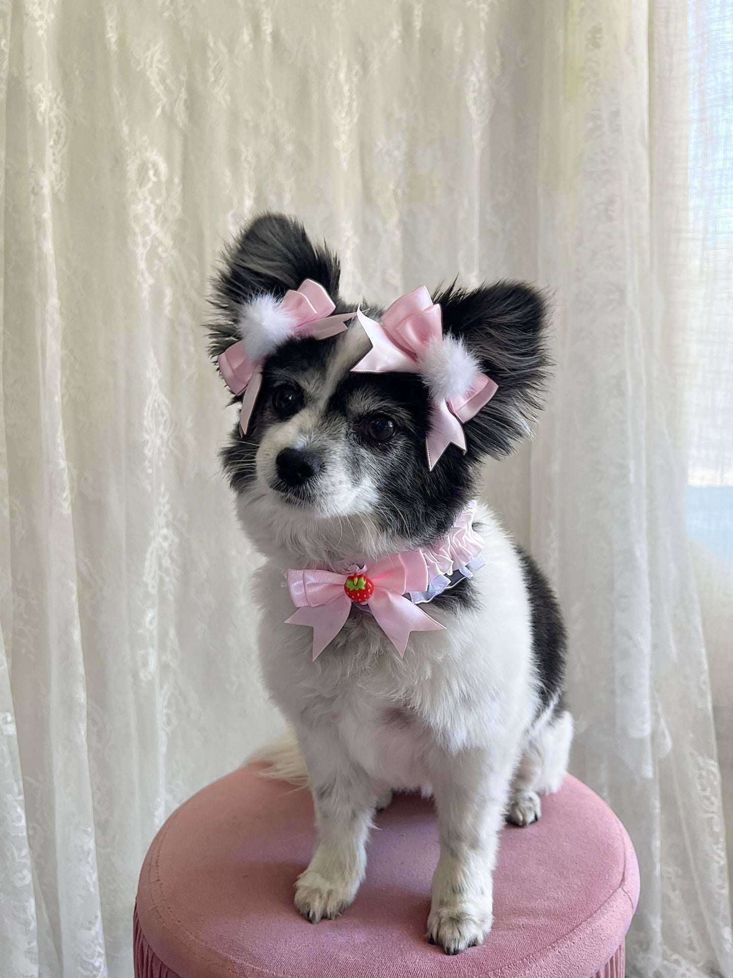 The Pink Cadillac Twin Bows