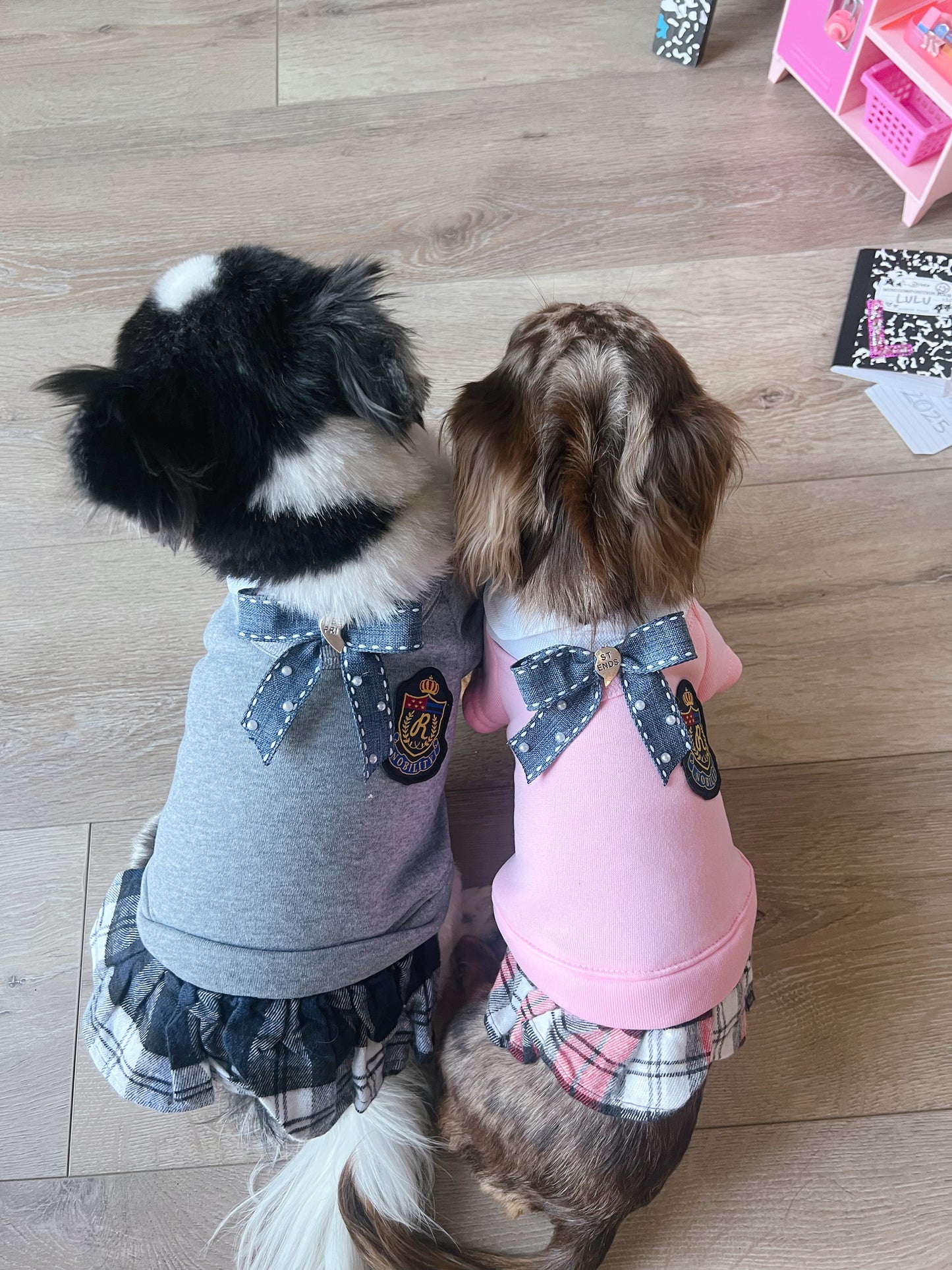 The Sassy Besties Twin Bows No