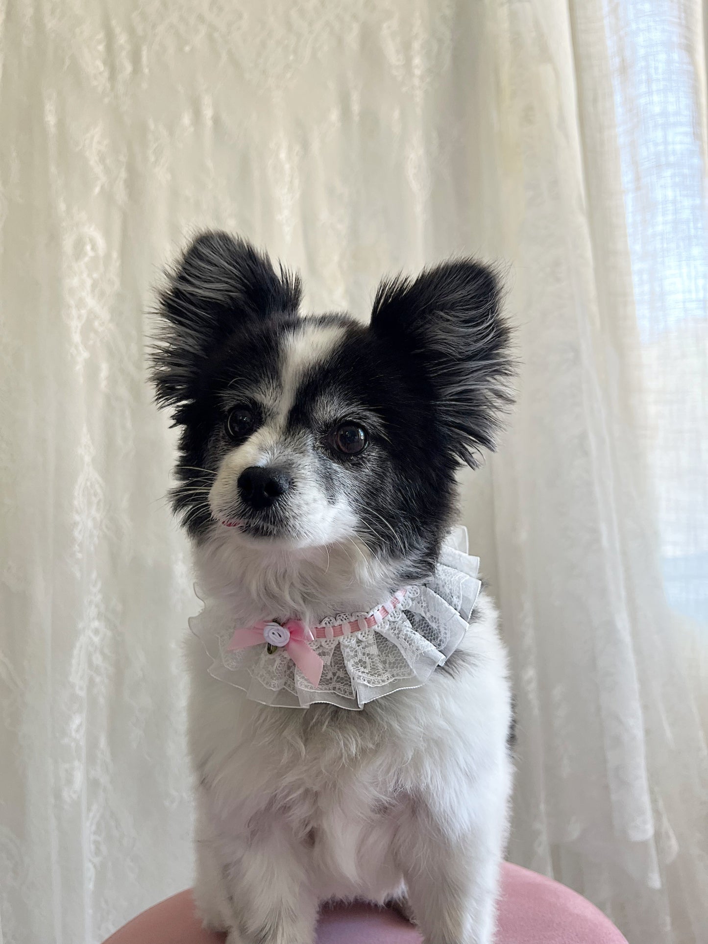 The Pin-Up Petal Choker