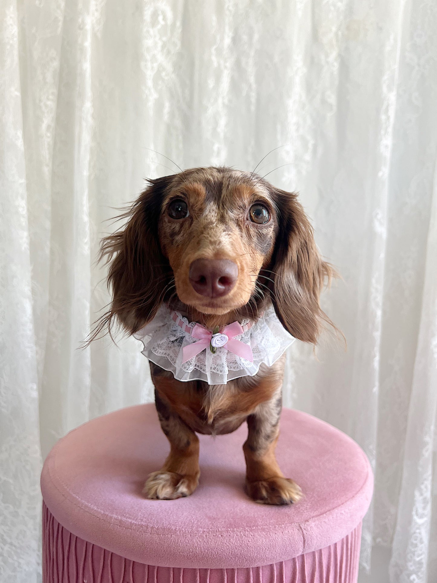 The Pin-Up Petal Choker