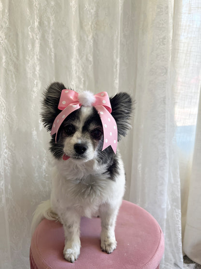 The Polka Dot Dixie Bow
