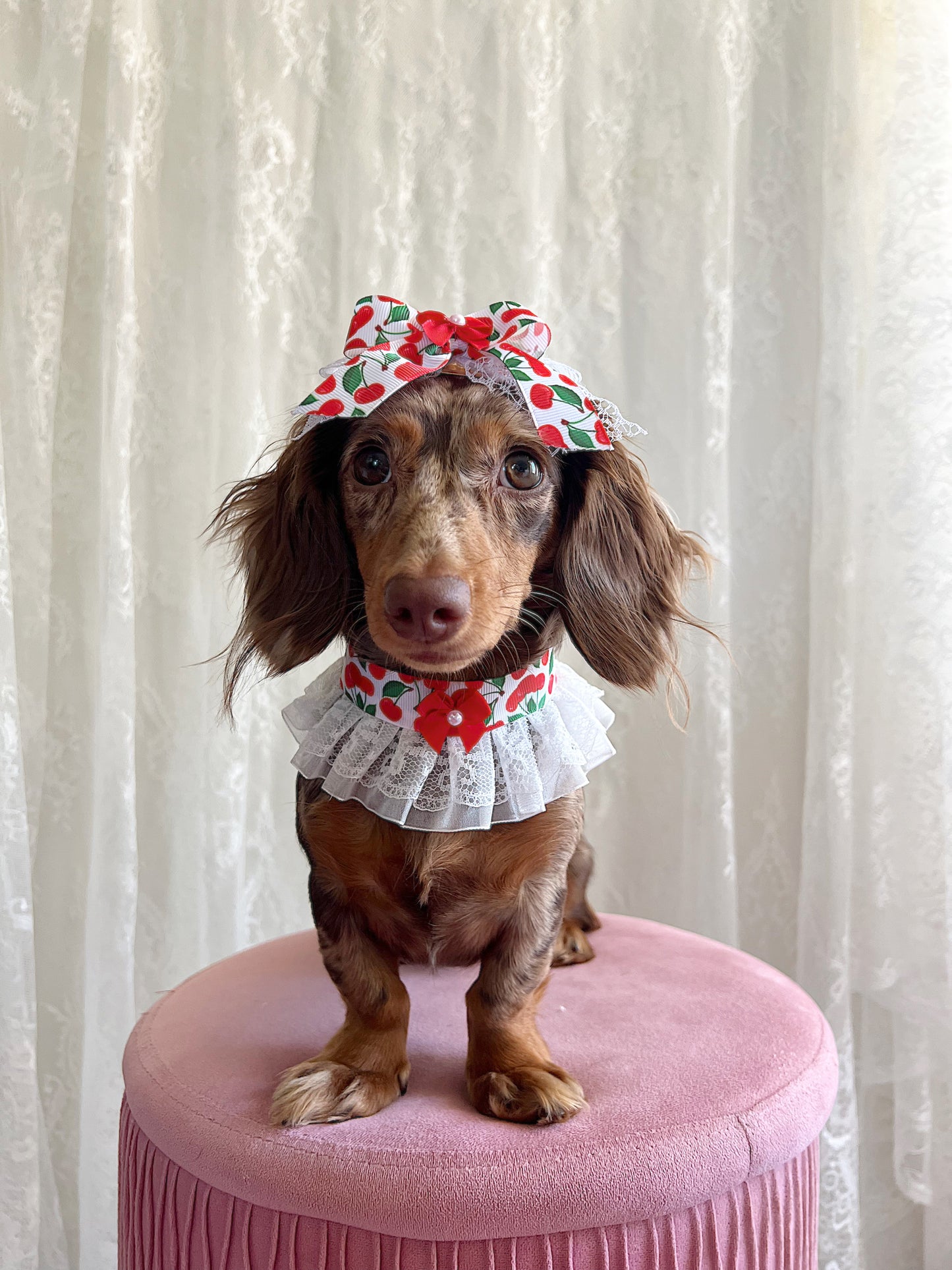 The Cherry Bombshell Bow
