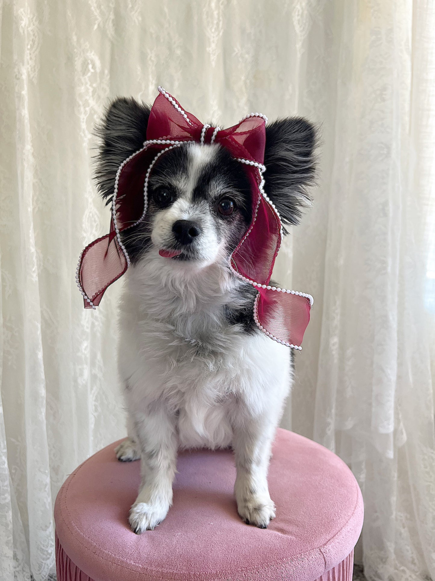 The Cherry Piece of Pie Bow