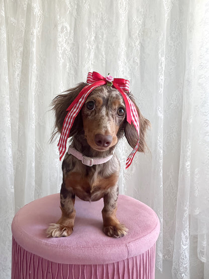 The Gingham Gal Bow