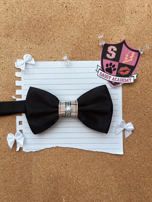 The Class President Bow Tie