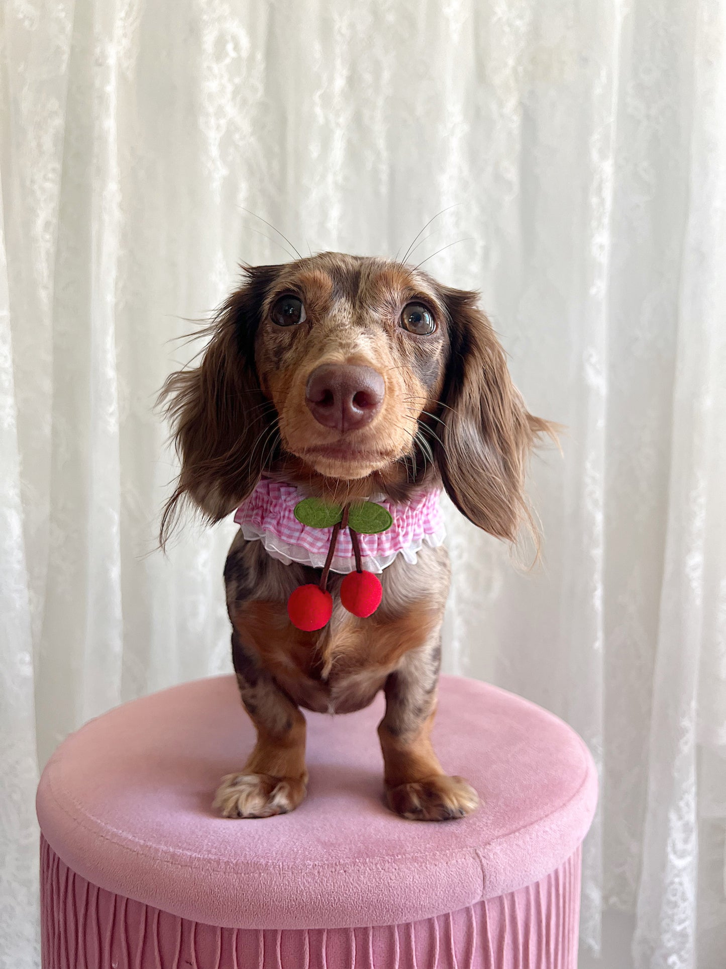 The Pink Picnic Choker