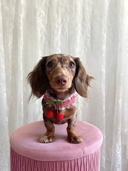 The Miss Americana Choker