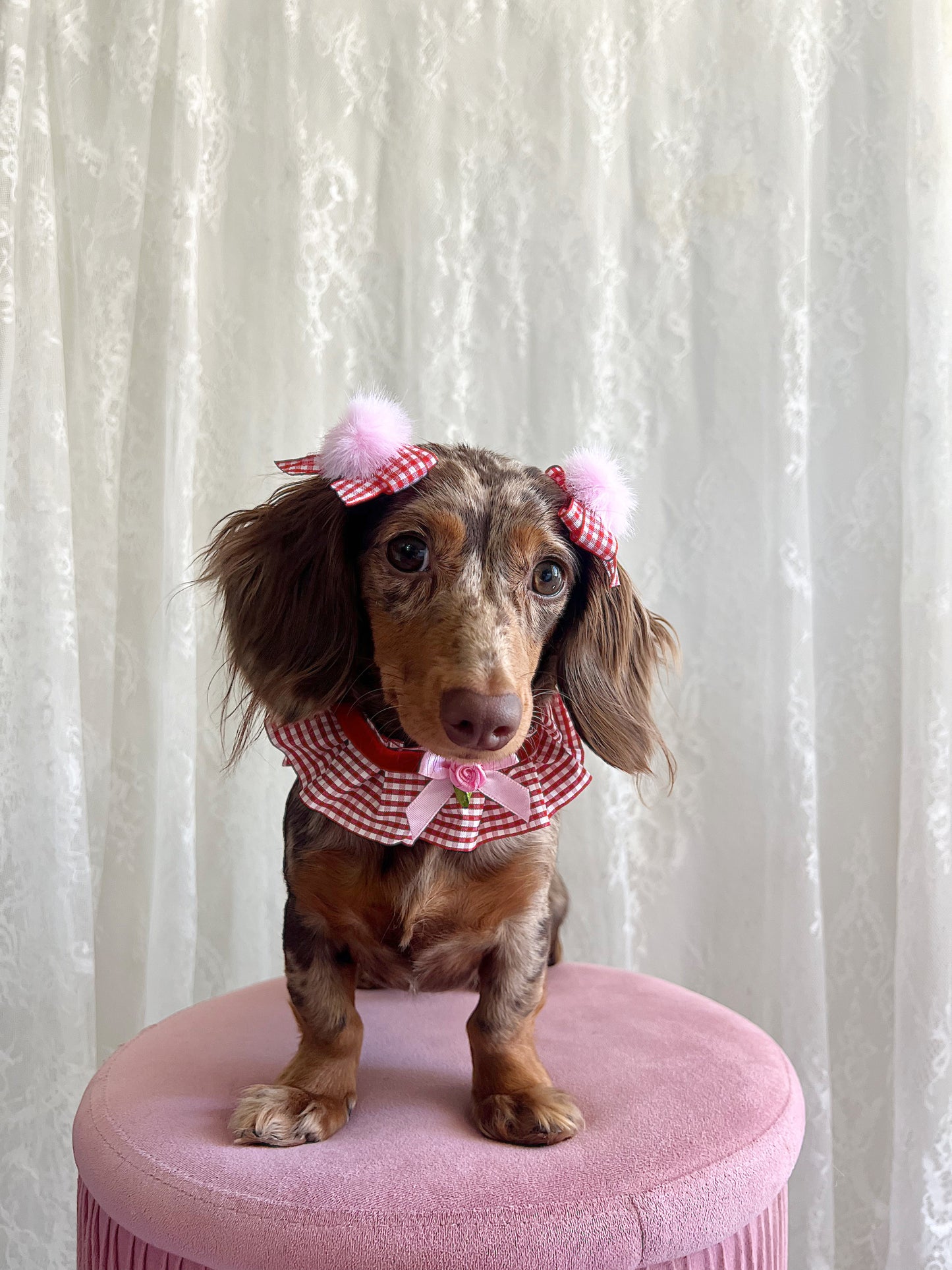 The Berry Bonbon Twin Bows