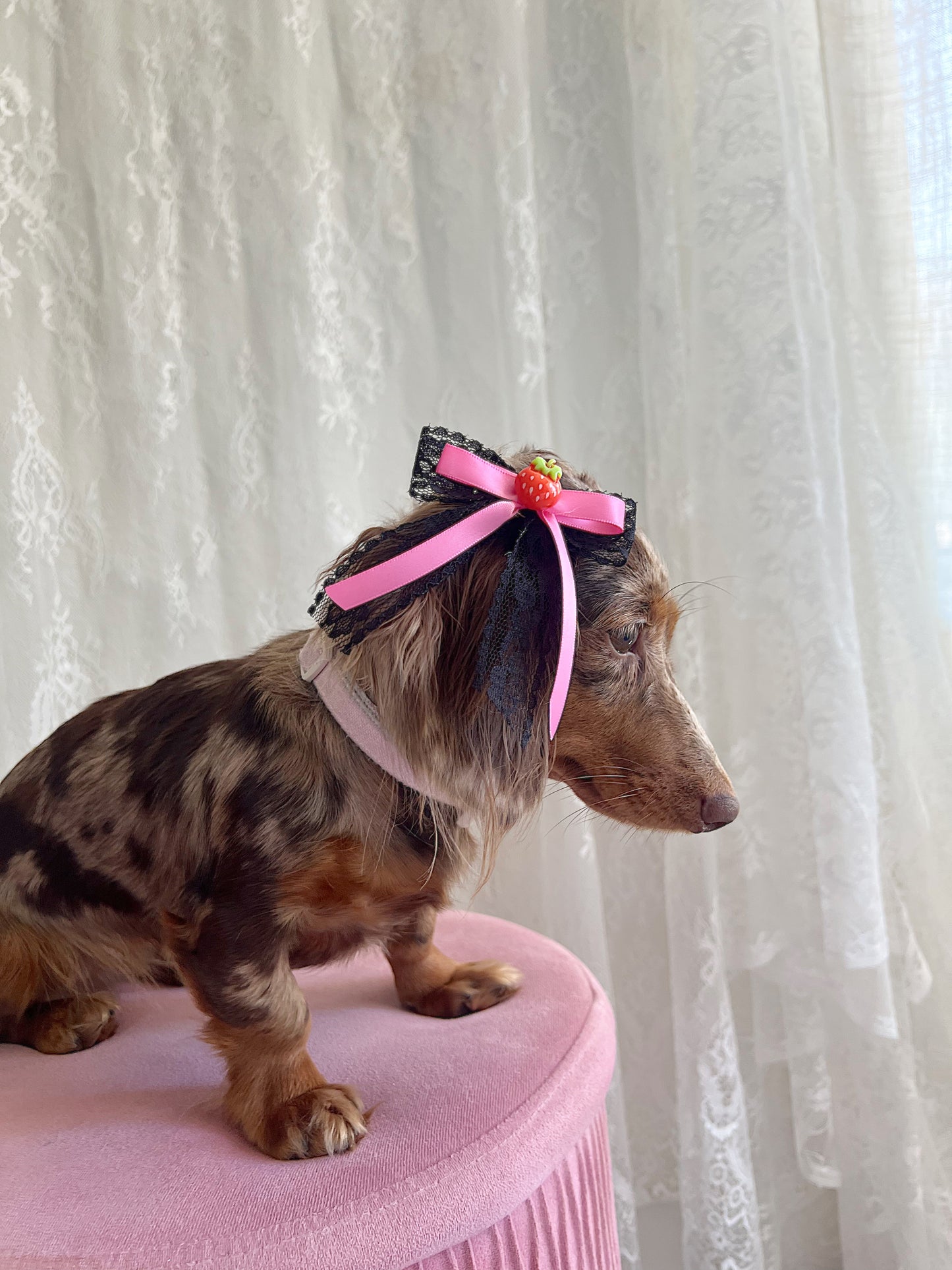 The Pink Licorice Bow