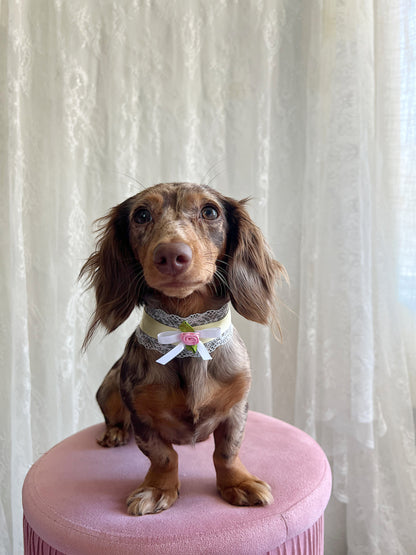 The Bella Choker